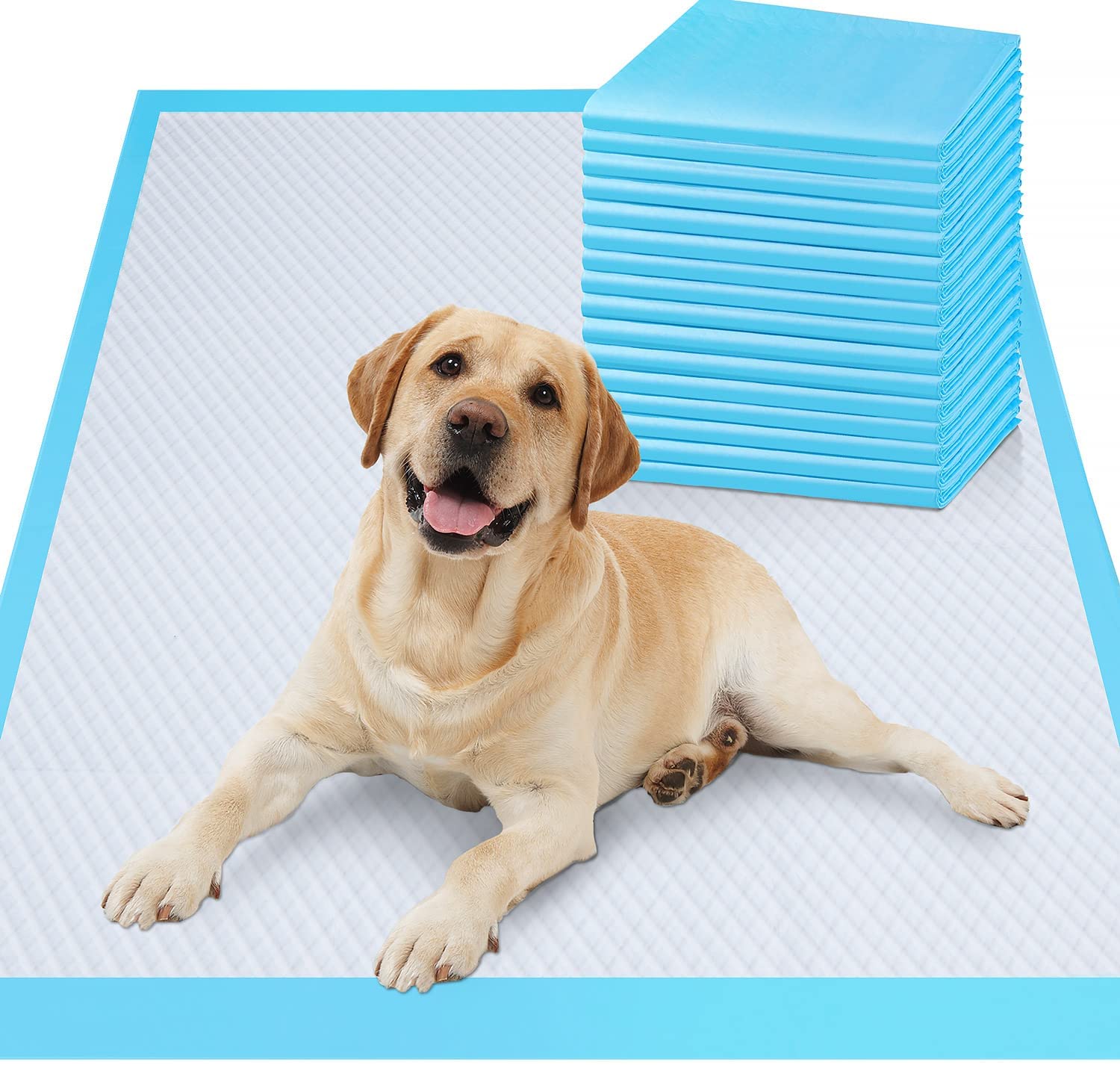 New Arrival:Gimars XL 6-LayerAbsorbent Leak-proof Disposable Dog Pee Pads